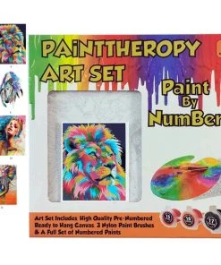 Paint By Numbers With Frame 30x40cm C